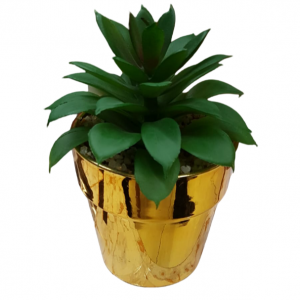 قوار ورد صبار ذهبي بحفة حجم صغير1-1